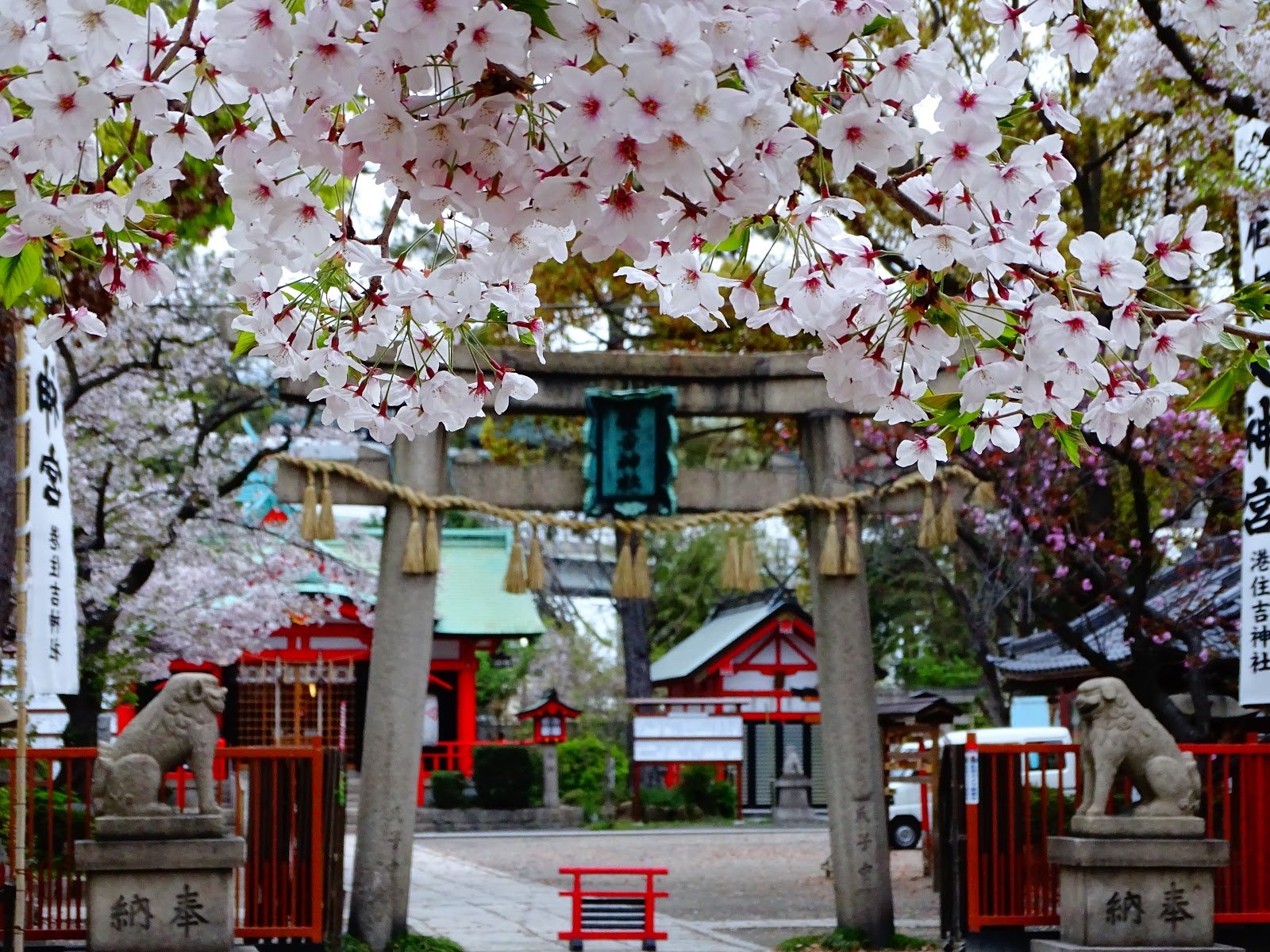 ⛩️ 스미요시 신사 (쓰쿠다) 이미지 9